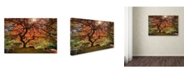 Trademark Global Moises Levy 'The Tree Horizontal' Canvas Art - 12" x 19"
